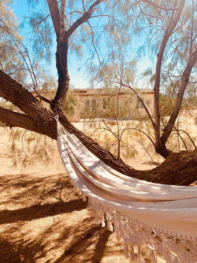Casa Agave: Comfy Joshua Tree Cottage With Free Breakfast Bar Экстерьер фото